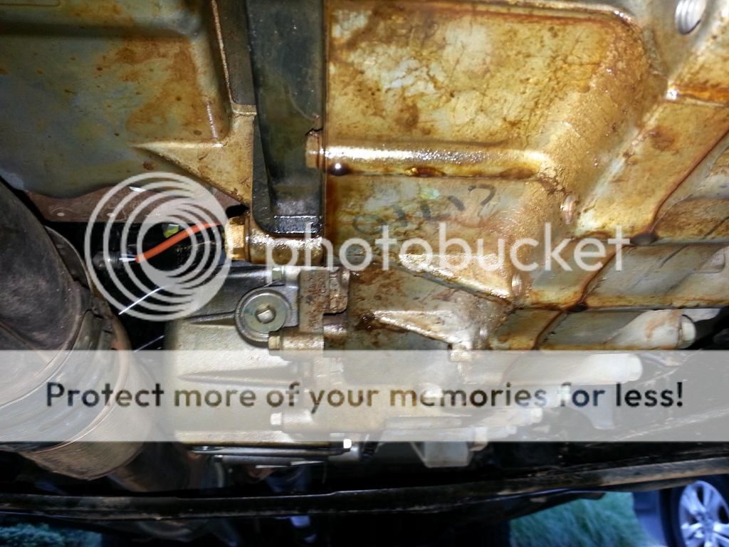 Honda Ridgeline Owners Club Forums Oil Leak and Noise Coming From Engine