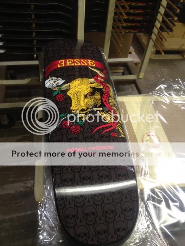 photo jesse-1.JPG_600x800_zpszjv6gpvf.jpg