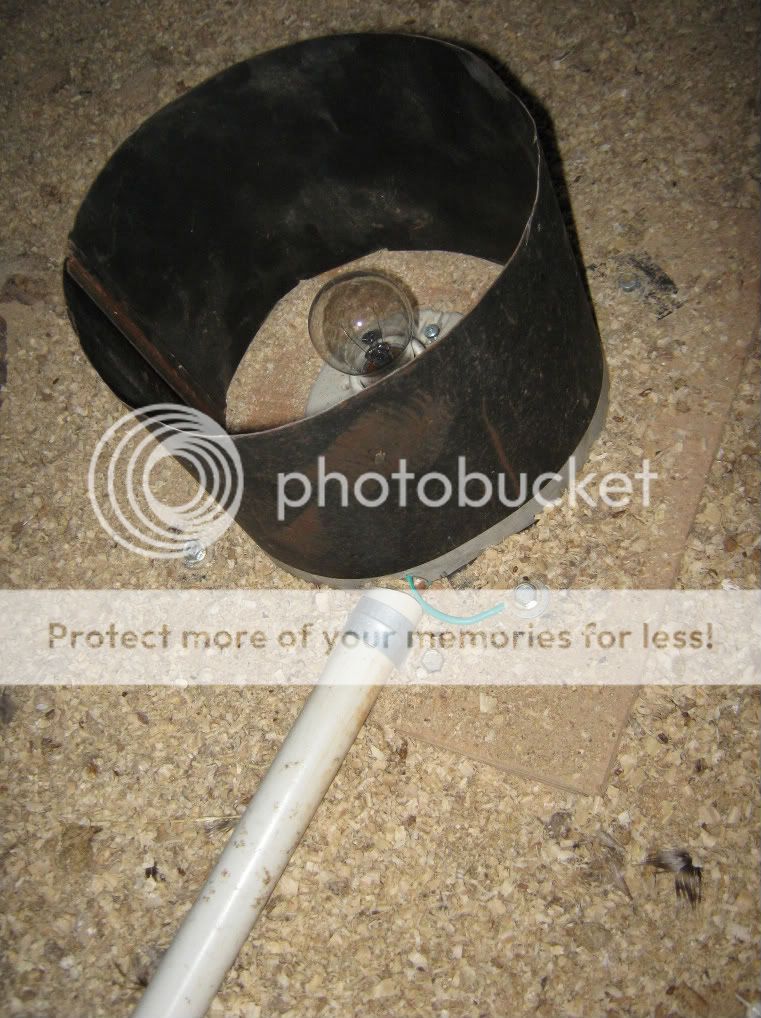 Freeze proof chicken waterer - Homesteading Questions