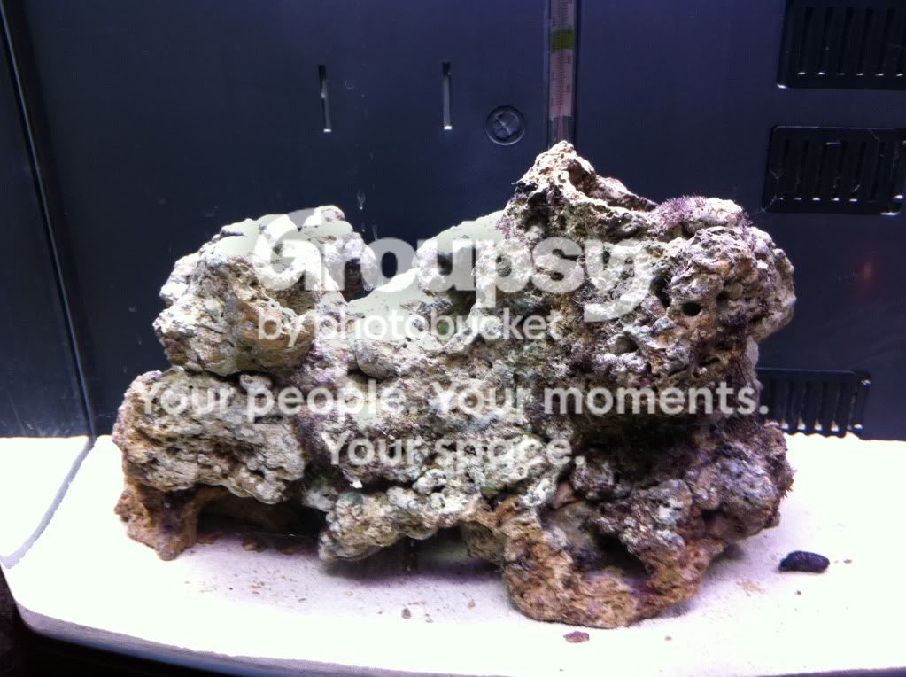 [TodoMarino.com] Os presento mi Nano reef 52L.