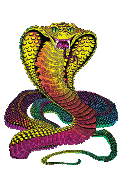 snake