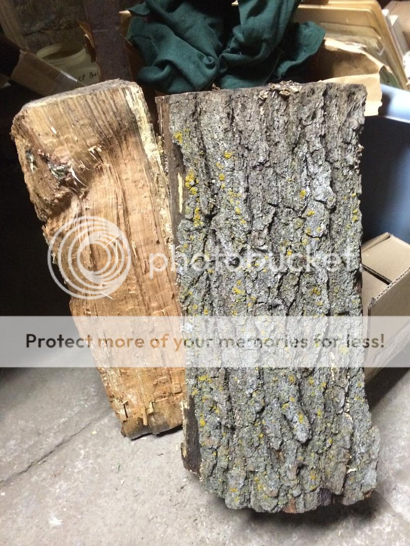 Mystery Oak for knife scales?